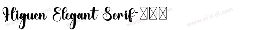 Higuen Elegant Serif字体转换